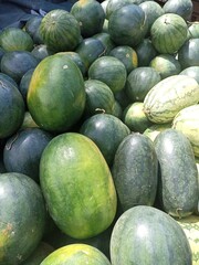 watermelons on the market