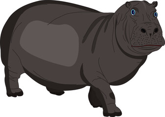 Cartoon realistic Hippopotamus Vector Illustration
