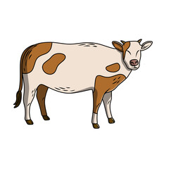 cow cartoon isolated on white