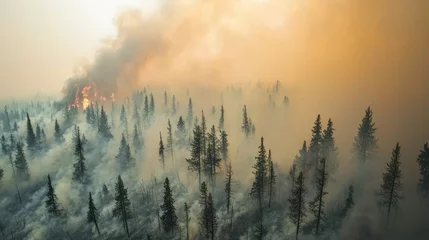 Sierkussen Mistig bos Aerial view of a forest engulfed in smoke and flames, showcasing the devastating effects of a wildfire on trees and the environment.  © happysunstock