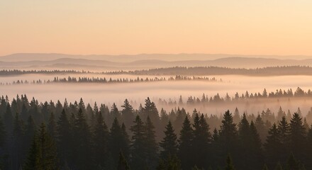 Misty Sunrise over Evergreen Forest - Serene Nature Landscape Photography