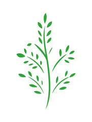 Simple green plant illustration