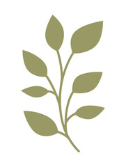 Fototapeta premium Olive Branch Illustration
