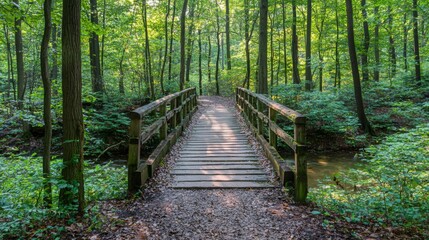 Fototapeta premium Tranquil Wooden Bridge Crossing Over a Serene Forest Stream Surrounded by Lush Greenery and Tall Trees in Nature