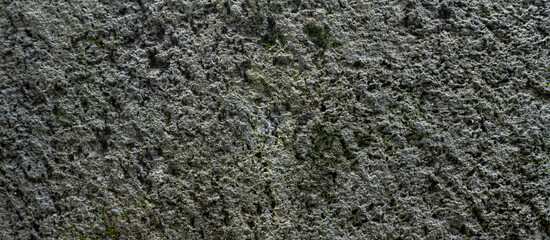 Textured Stone Wall Background with Natural Patterns and Rough Surface, Showcasing Structural Details and Timeless Aesthetic Appeal.