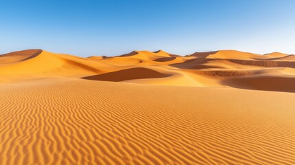 Stunning desert landscape featuring golden sand dunes under a clear blue sky, showcasing natural beauty and tranquility.