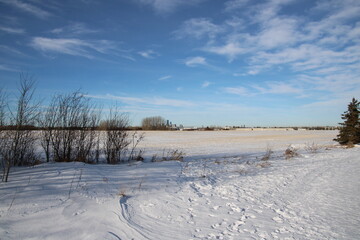 winter landscape with snow
