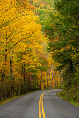 Obraz premium Autumn Colors