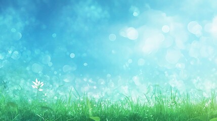 Obraz premium Lush Green Grass with Soft Blue Background and Dreamy Bokeh Effect