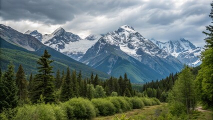 Fototapeta premium view from the top of the mountain