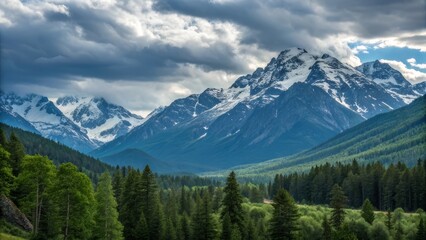 Fototapeta premium mount rainier national park