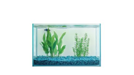 blank fish tank glass isolated on white background