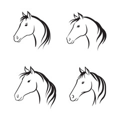 horse vector illustration