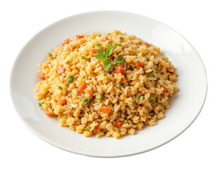 Nasi goreng or fried rice, served on a ceramic plate. Fried rice mixed with carrots and other vegetables. Indonesian food. Isolated on transparent or white background