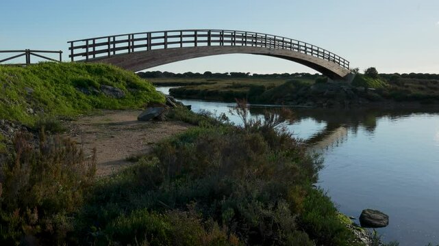 San Miguel Marismas Trail Bridge. The water flows in the arrival of spring.  Natural Site Marshes of the Piedras River and Flecha de El Rompido. vertical video at 4k and 50fps