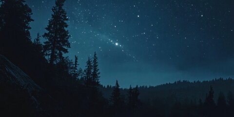 Fototapeta premium Starry Night Sky Over Silhouetted Pine Forest