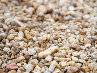 Gravel deposits in focus close-up textures of earthy ground-level environments