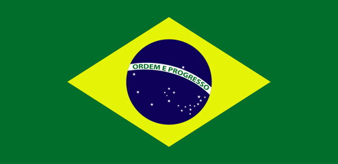 Brazil Flag National Size