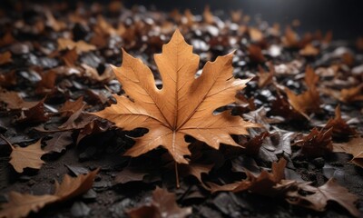 Oak leaf ablaze on a bed of dry leaves and cold darkness, frostbitten trees, desolate landscape