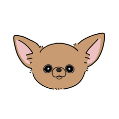 スムースチワワの顔(ブラウン)