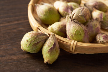 山菜　ふきのとう　イメージ