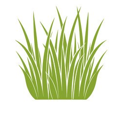 Green Grass Illustration