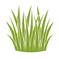 Green Grass Illustration