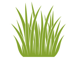 Green Grass Illustration