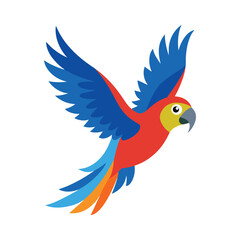 Colorful parrot in flying vector illustration 