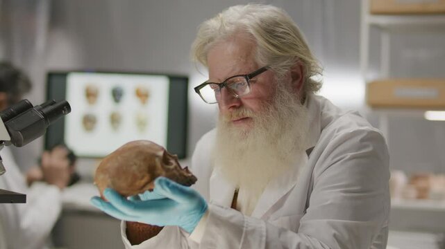 Elderly archaeologist sitting at desk with microscope, measuring ancient skull with caliper during workday in research laboratory