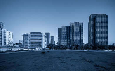 Serene Urban Landscape in Blue Tones with Modern Skyscrapers