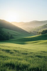 Serene Sunrise Over Rolling Green Hills with Misty Valleys and Lush Trees in a Tranquil Countryside Landscape