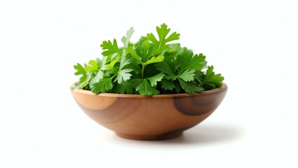 coriander placed in a rustic wooden bowl, isolated on a pure white background with a precise clipping path