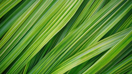 Diagonal striped leaves create an abstract pattern with varied shades