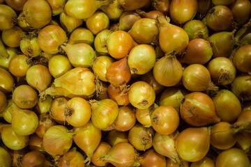 A close-up of freshly harvested onions with their golden-brown skins and natural textures, showcasing the vibrant produce ready for market or culinary use.