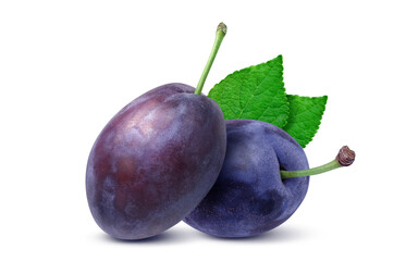 プルーン イラスト リアル 白バック