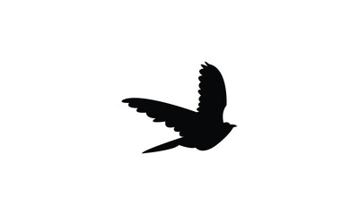 Obraz premium African citril bird Silhouette Design And Vector Illustration. 