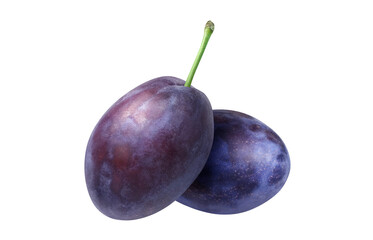 Obraz premium プルーン イラスト リアル 白バック