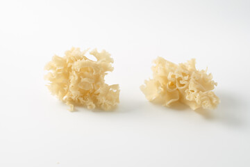 花びら茸　イメージ