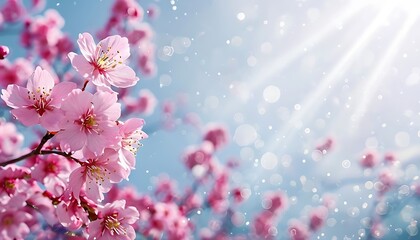 Fototapeta premium Cherry Blossoms In Full Bloom Against A Dreamy Sky