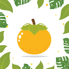 orange tree leaves yellow