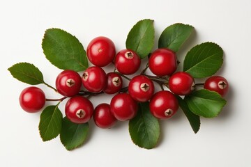 Close Up Red Berries Cluster With Green Leaves On White Background