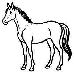 horse vector illustration
