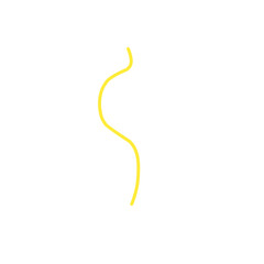 colorful balloon rope