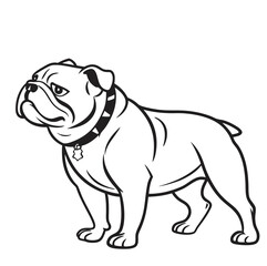 Cute adorable brown and white french bulldog puppy portrait standing isolated on a white background