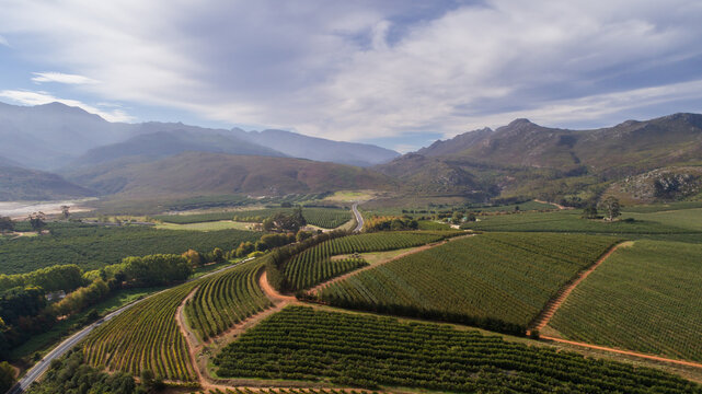 Aerial view of the Elgin/Grabouw Valley in South Africa, featuring lush orchards, winding roads, and dramatic mountain landscapes, highlighting the region's agricultural richness
