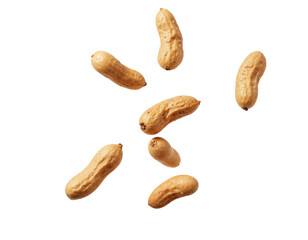 Fototapeta premium peanuts isolated on white background
