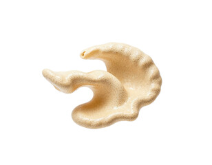 Fototapeta premium sea shell isolated on white background