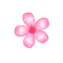 Pink Flower.eps