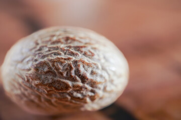 macro shot of a whole nutmeg with out of focus background and copy space